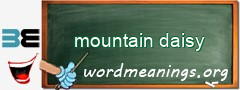 WordMeaning blackboard for mountain daisy